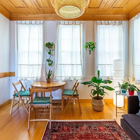 Eclectic And Cozy Apartment Near Popular Attractions In Beyoglu