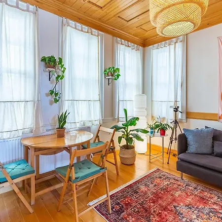 Eclectic And Cozy Apartment Near Popular Attractions In Beyoglu *