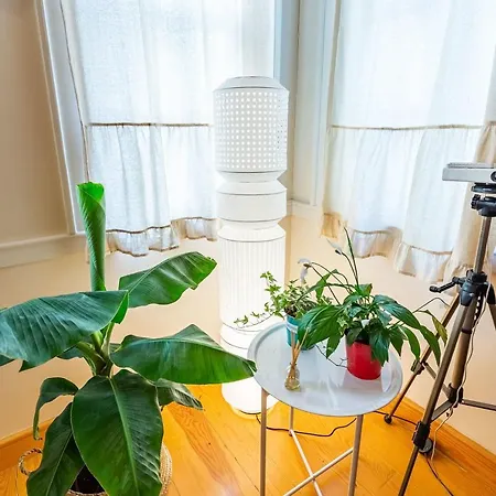 Eclectic And Cozy Apartment Near Popular Attractions In Beyoglu